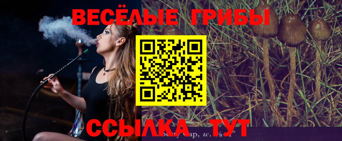 Псилоцибиновые грибы Psilocybine cubensis Нальчик