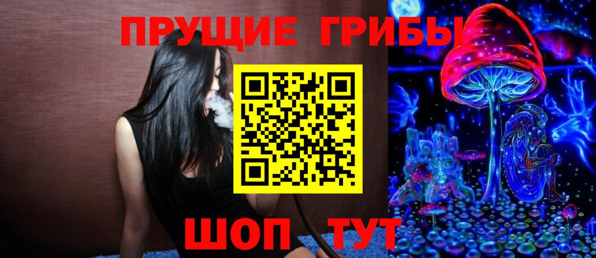 Псилоцибиновые грибы Psilocybe  Галлюциногенные грибы мицелий  Нальчик  купить наркотики сайты  Вход с VPN 